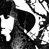 Sasori