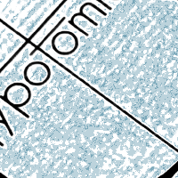 Typotomie